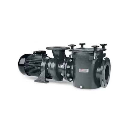 swimming pool Commercial Iron Pump